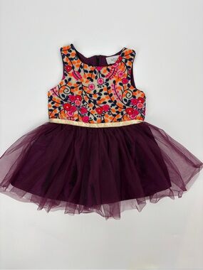 A.T.U.N Toddler Girl Embroidered Tu Tu Dress
